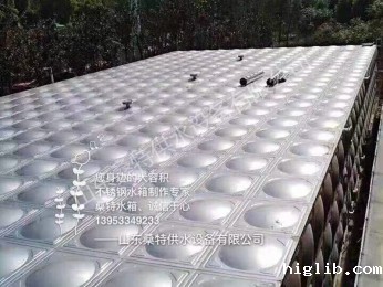 长沙黄花保税区项目